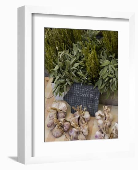 Rosemary and Garlic, Moustiers-Sainte-Marie, Provence, France-Sergio Pitamitz-Framed Photographic Print