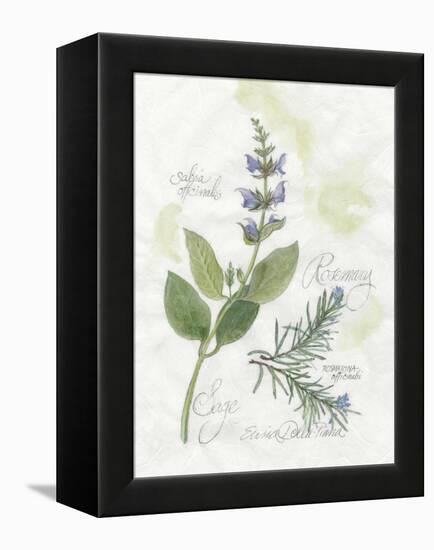 Rosemary and Sage-Elissa Della-piana-Framed Stretched Canvas