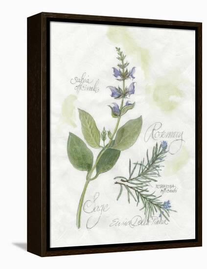 Rosemary and Sage-Elissa Della-piana-Framed Stretched Canvas