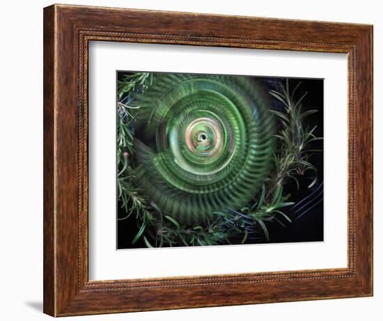 Rosemary circle-Heidi Westum-Framed Photographic Print