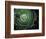 Rosemary circle-Heidi Westum-Framed Photographic Print