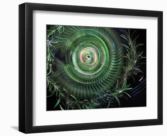 Rosemary circle-Heidi Westum-Framed Photographic Print