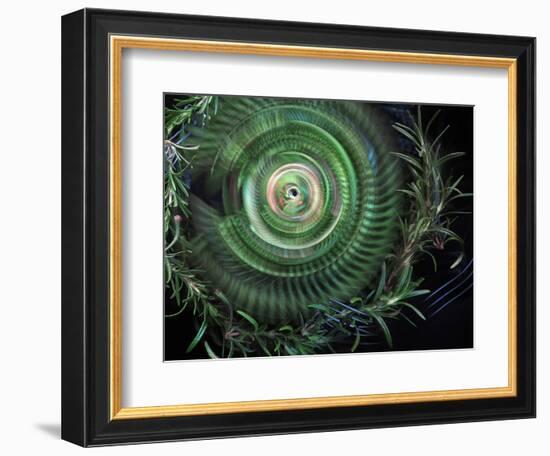 Rosemary circle-Heidi Westum-Framed Photographic Print