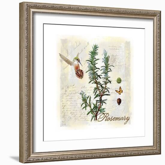 Rosemary Herb-Tina Lavoie-Framed Giclee Print