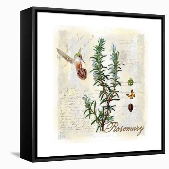 Rosemary Herb-Tina Lavoie-Framed Premier Image Canvas