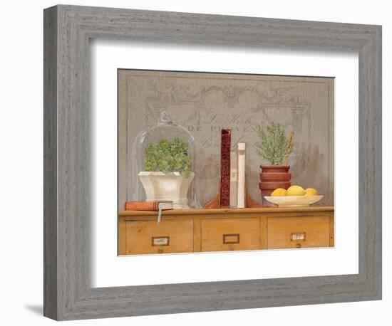 Rosemary Library-Arnie Fisk-Framed Art Print