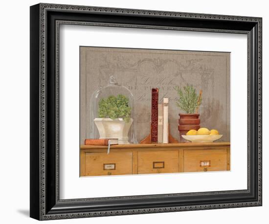 Rosemary Library-Arnie Fisk-Framed Art Print