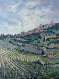 Vineyards, Tuscany-Rosemary Lowndes-Giclee Print