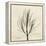 Rosemary Moment-Albert Koetsier-Framed Stretched Canvas