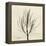 Rosemary Moment-Albert Koetsier-Framed Stretched Canvas