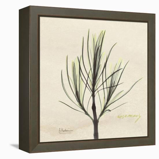 Rosemary Moment-Albert Koetsier-Framed Stretched Canvas