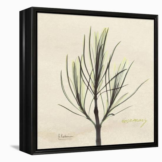 Rosemary Moment-Albert Koetsier-Framed Stretched Canvas