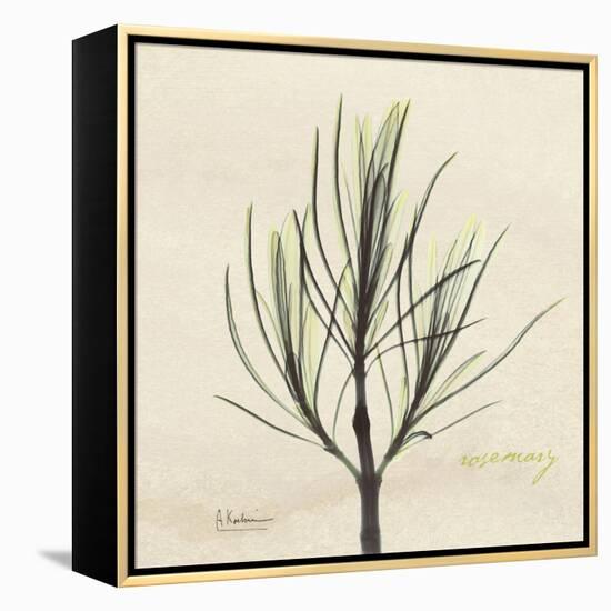 Rosemary Moment-Albert Koetsier-Framed Stretched Canvas