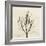 Rosemary Moment-Albert Koetsier-Framed Premium Giclee Print