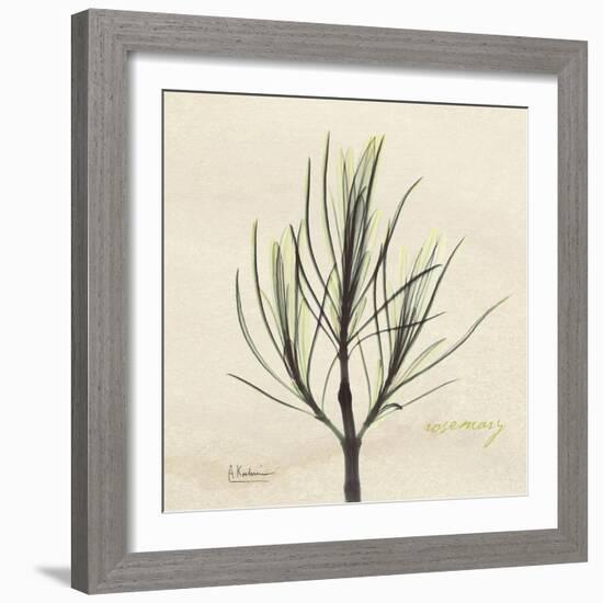 Rosemary Moment-Albert Koetsier-Framed Premium Giclee Print