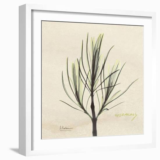 Rosemary Moment-Albert Koetsier-Framed Premium Giclee Print