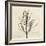 Rosemary Moment-Albert Koetsier-Framed Premium Giclee Print