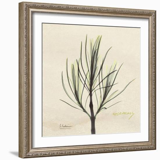 Rosemary Moment-Albert Koetsier-Framed Art Print