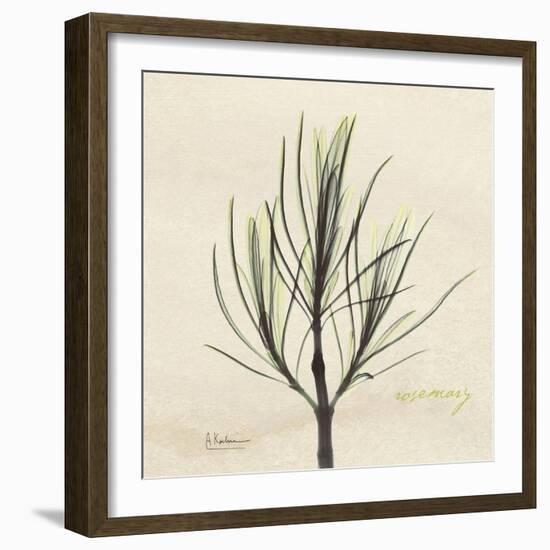 Rosemary Moment-Albert Koetsier-Framed Art Print