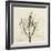 Rosemary Moment-Albert Koetsier-Framed Art Print