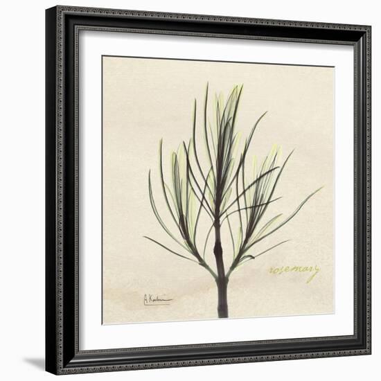 Rosemary Moment-Albert Koetsier-Framed Art Print