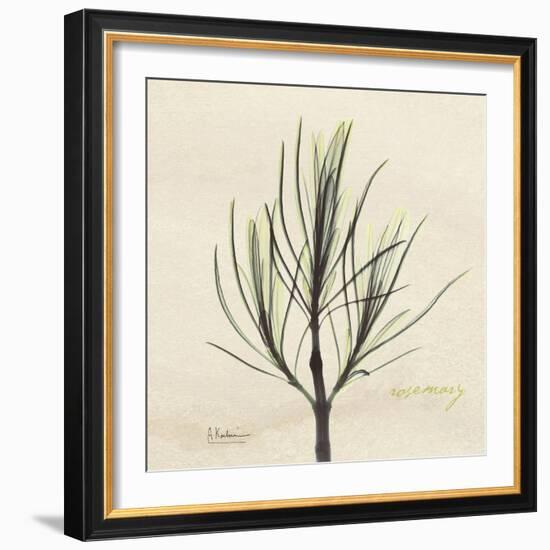 Rosemary Moment-Albert Koetsier-Framed Art Print