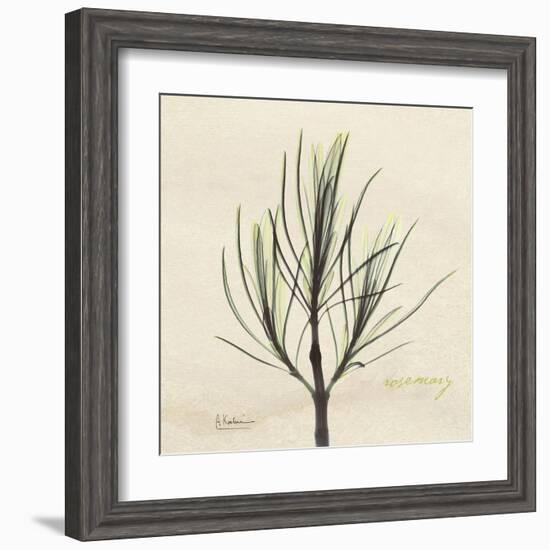 Rosemary Moment-Albert Koetsier-Framed Art Print