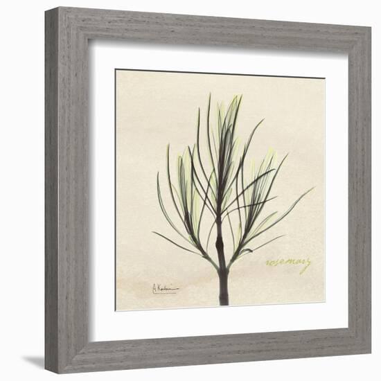 Rosemary Moment-Albert Koetsier-Framed Art Print