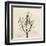 Rosemary Moment-Albert Koetsier-Framed Art Print