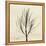 Rosemary Moment-Albert Koetsier-Framed Stretched Canvas