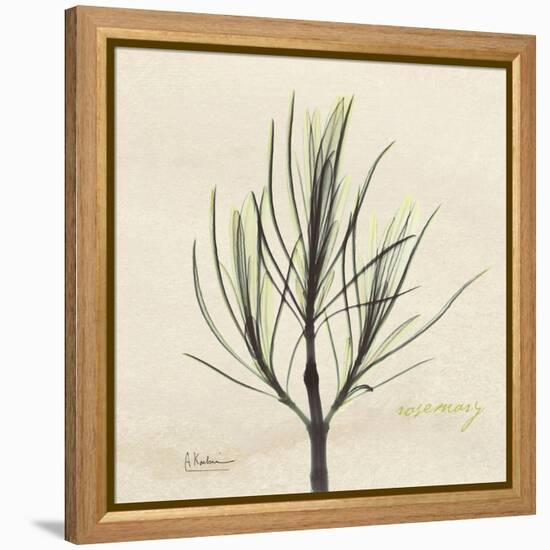 Rosemary Moment-Albert Koetsier-Framed Stretched Canvas