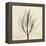 Rosemary Moment-Albert Koetsier-Framed Stretched Canvas