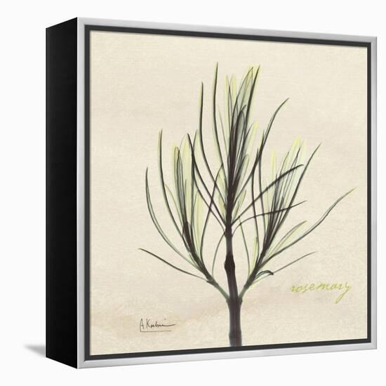 Rosemary Moment-Albert Koetsier-Framed Stretched Canvas
