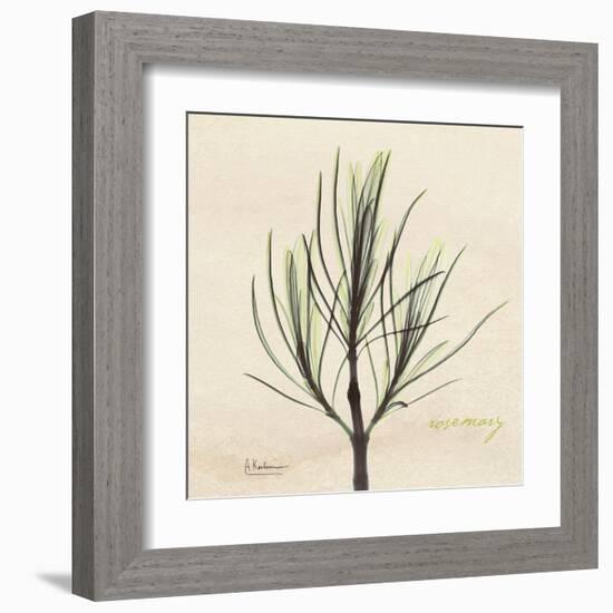 Rosemary on Beige-Albert Koetsier-Framed Art Print