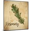 Rosemary on Burlap-Color Me Happy-Mounted Art Print