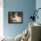 Rosemary's Baby-null-Framed Stretched Canvas displayed on a wall