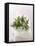 Rosemary with Flowers on White Cloth-null-Framed Premier Image Canvas