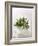 Rosemary with Flowers on White Cloth-null-Framed Photographic Print