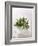 Rosemary with Flowers on White Cloth-null-Framed Photographic Print