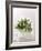 Rosemary with Flowers on White Cloth-null-Framed Photographic Print