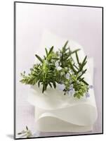 Rosemary with Flowers on White Cloth-null-Mounted Photographic Print