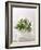 Rosemary with Flowers on White Cloth-null-Framed Photographic Print