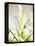 Rosemary-null-Framed Premier Image Canvas