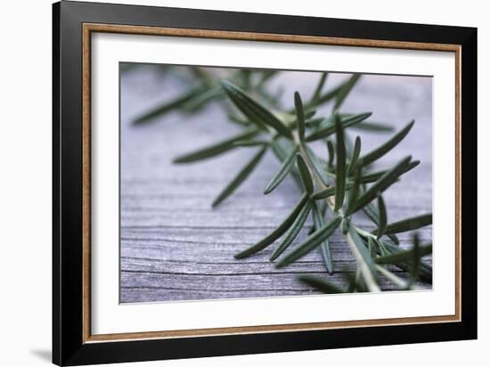 Rosemary-Maxine Adcock-Framed Photographic Print