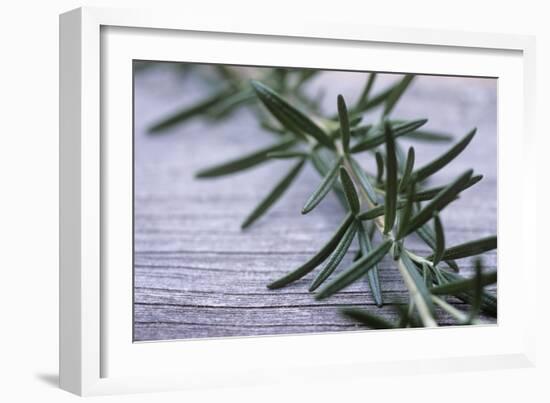 Rosemary-Maxine Adcock-Framed Photographic Print