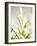 Rosemary-null-Framed Photographic Print