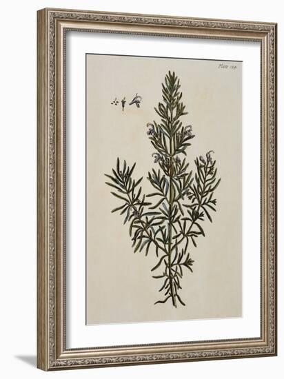 Rosemary-Elizabeth Blackwell-Framed Giclee Print