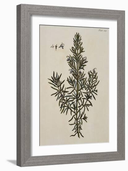Rosemary-Elizabeth Blackwell-Framed Giclee Print