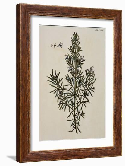 Rosemary-Elizabeth Blackwell-Framed Giclee Print