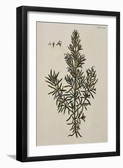 Rosemary-Elizabeth Blackwell-Framed Giclee Print